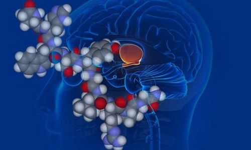 Vasopressina, l'ormone antidiuretico