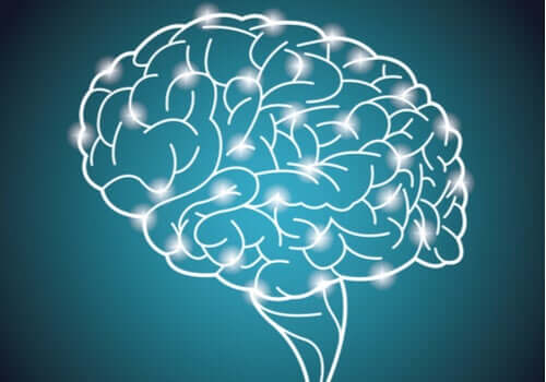 Il più grande esperimento di intelligenza mai realizzato