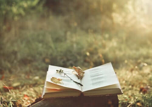 La poesia per calmare il dolore