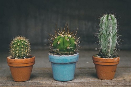 Gelosia tra amici, perché succede?