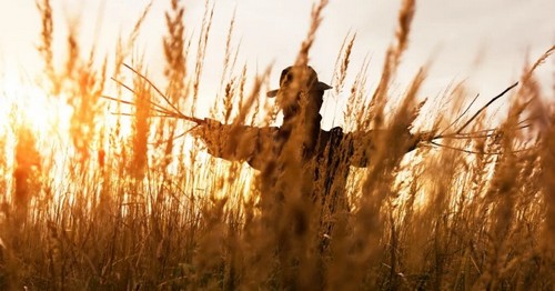 Proposta fantoccio nel problem solving