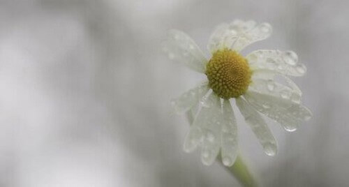 Le difficoltà non sempre ci rendono più resilienti