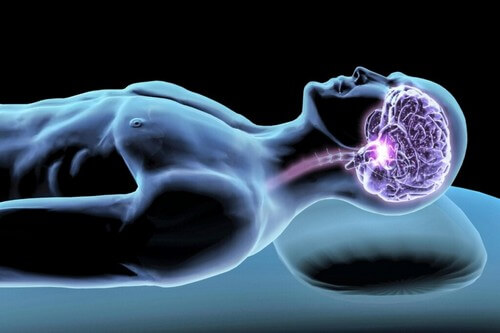 Ormoni del sonno: intermediari del riposo