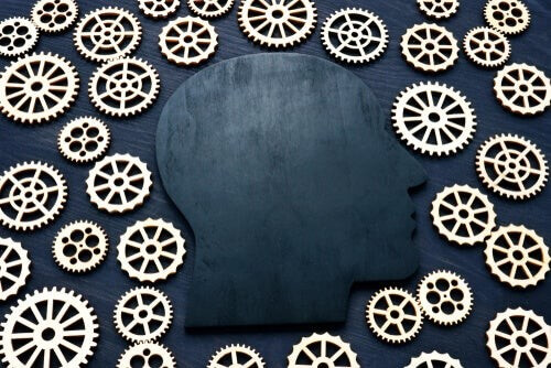 Il quoziente d'intelligenza e la sua evoluzione