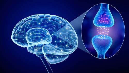 Psiconeuroimmunologia: di cosa si occupa?