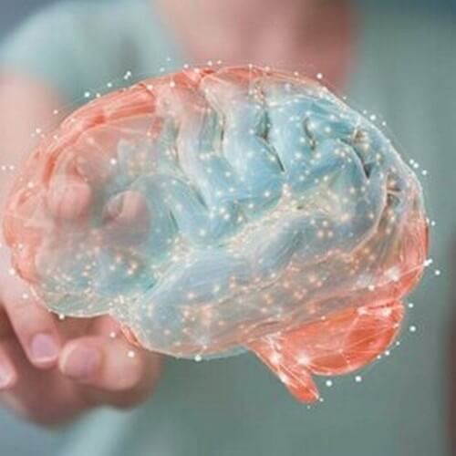 Endocannabinoidi, molecole simili alla marijuana