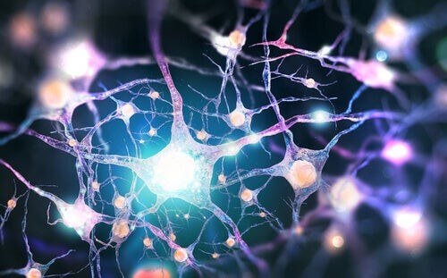 Dinorfine: neurotrasmettitori oppioidi endogeni