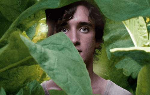 Lazzaro felice, un bellissimo film sulla gentilezza