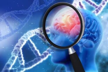 Ricerca neuroscientifica: come si studia il cervello?