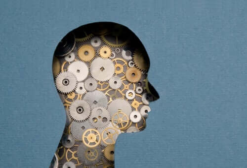 Il valore delle parole: esperimento di Loftus e Palmer