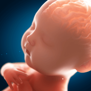 Sviluppo del cervello da 0 a 4 anni