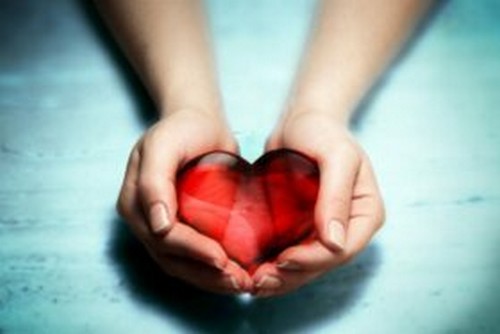 Pena e compassione: importante differenza