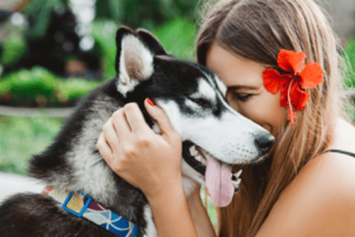 Gli animali fanno bene alla salute