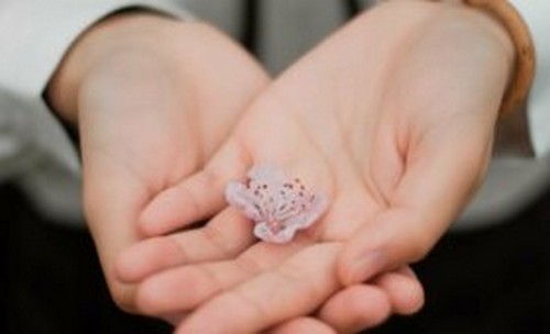 Saper chiedere scusa: 6 passaggi essenziali