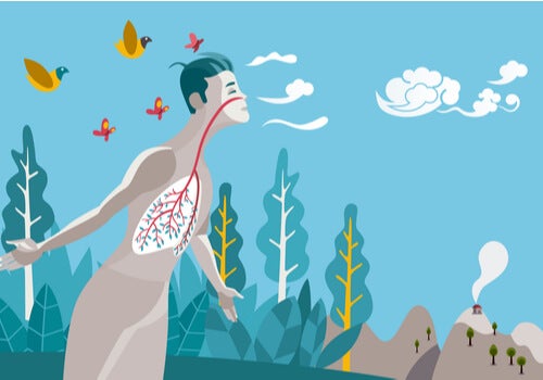 L'arte della respirazione secondo la scienza