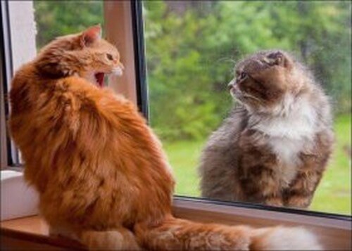 Tenere vicini i nemici?