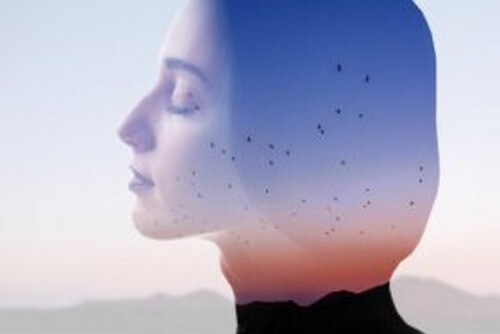 Narrazioni mentali: come si formano