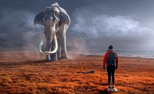 Il nostro atteggiamento verso i problemi ci definisce