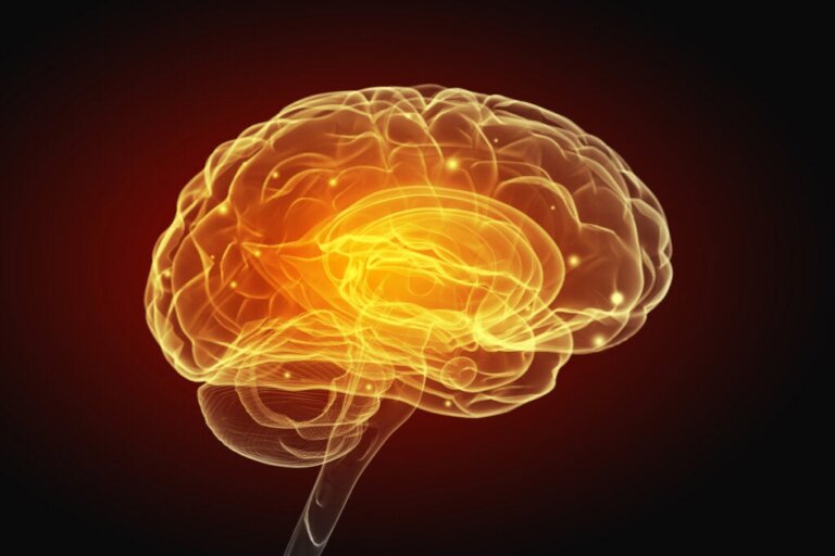 Schizofrenia e disturbi vascolari del cervello