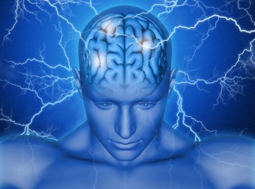 Area motoria supplementare: parti, funzioni e alterazioni