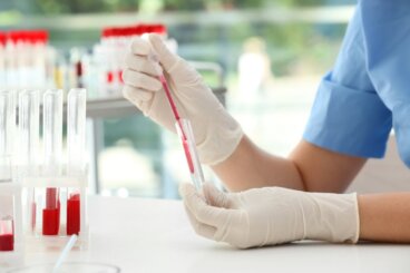 Il gruppo sanguigno influenza la personalità?